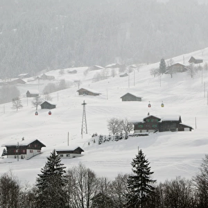 SWITZERLAND-Bern-GRINDELWALD: Ski Chalets / Winter