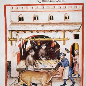 Tacuinum Sanitatis. Medieval Health Handbook, dated before 1400, based on observations