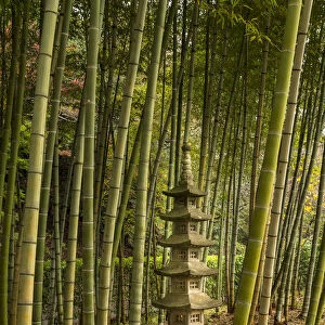A tall pagoda statue in the center of a tall bamboo grove, Akebonoyama Park, Japan