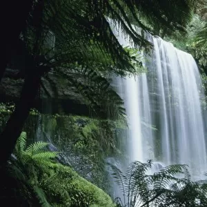 Tasmania, Mt. Field National Park, Russell Falls and tree ferns