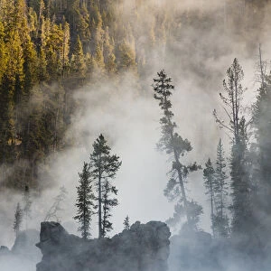 Tees and boulders in Yellowstone River at sunrise, Yellowstone National Park