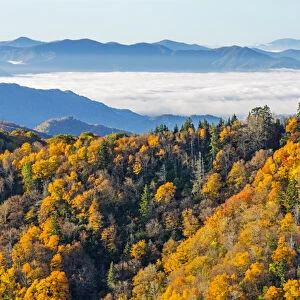 Tennessee / North Carolina, Great Smoky Mountains National Park, Newfound Gap