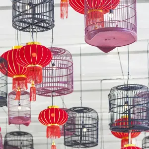 Thailand, Bangkok. Siam Square, display of red lanterns and birdcages