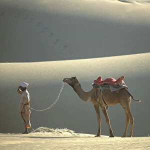 Thar Desert, Rajasthan, India