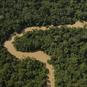 Tiguino River in Yasuni National Park. Amazon Rain Forest. ECUADOR. South America