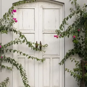 Todos Santos, Mexico. White door in a white wall partly covered with flowers