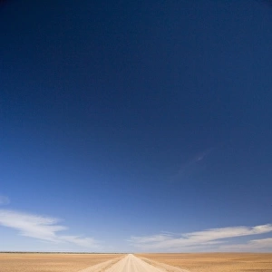 Track to Arkaringa, near Oodnadatta Track, Outback, South Australia, Australia