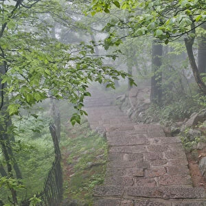 Trail in Fog Yellow Mountains a UNESCO World Heritage Site