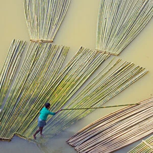 Transporting bamboo timber on the river, Chittagong, Bangladesh