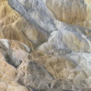 Travertine deposits colored by thermophilic bacteria, Mammoth Hot Springs, Yellowstone National Park Travertine deposits colored by thermophilic bacteria, Mammoth Hot Springs, Yellowstone National Park