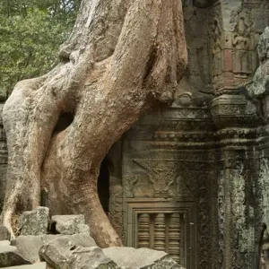 Ta Prohm Temple Ruins Print