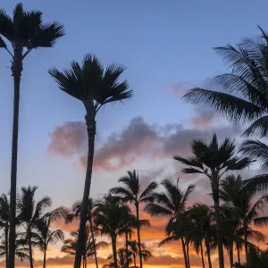 Tropical sunset