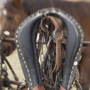 Tucson, Arizona: Ropes and hanrnesses used on horse drawn wagons