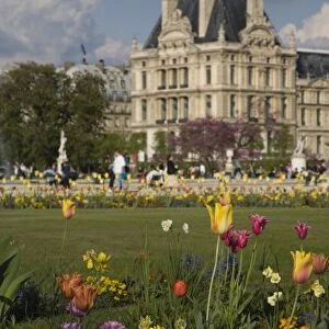 Tuileries Garden, Louvre, Paris, France