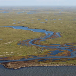 tundra landscape with freshwater ponds along the Arctic coast, by the Colville River