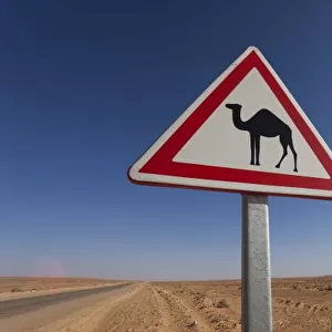 Tunisia, Ksour Area, Ksar Ghilane, Grand Erg Oriental Desert, oil pipeline road