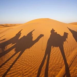 Tunisia, Ksour Area, Ksar Ghilane, Grand Erg Oriental Desert, camel caravan, sunset