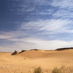 Tunisia, Ksour Area, Ksar Ghilane, sand dunes