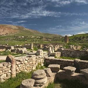 Tunisia, Northern Tunisia, Bulla Regia, ruins of underground Roman-era villas