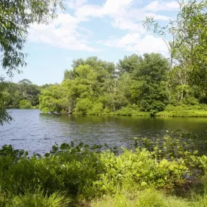 Turkey Swamp Park, Freehold, New Jersey, United States, North America Turkey Swamp Park, Freehold, New Jersey, United States, North America