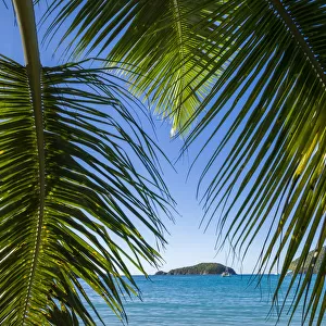 U. S. Virgin Islands, St. John. Trunk Bay and beach