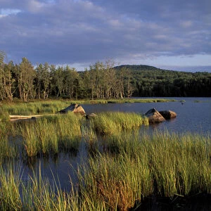 Umbagog Lake. Reeds. Northern Forest. The Rapid River empties into Umbagog Lake