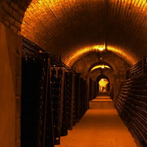 The underground wine cellar, thousands of bottles aging either in pupitres (racks)