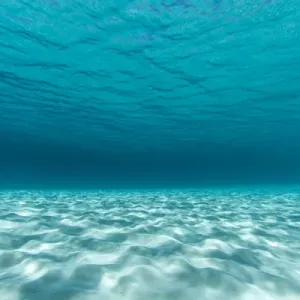 Underwater Sandbar Print