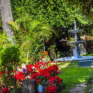 Union Garden Jardin Fountain Guanajuato Mexico