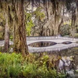 Magnolia Plantation White Bridge Print Magnolia Plantation White Bridge Print