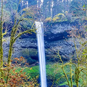 United States, Oregon, Silver Falls State Park, South Falls