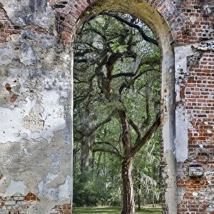 United States, South Carolina, Yemassee, Old Sheldon Church Ruins