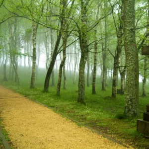 Urkiola Natural Park. Cross. Biscay province. Basque Country. Spain