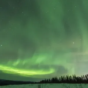 US, AK, Fairbanks. Aurora borealis light display US, AK, Fairbanks. Aurora borealis light display