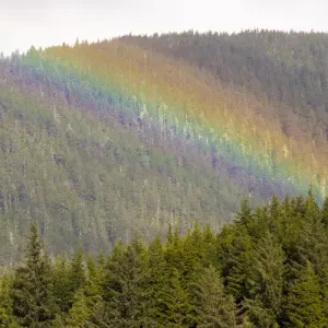 US, AK, Ketchikan. Sunny break in rain creates rainbow stripes on forested hills US, AK, Ketchikan. Sunny break in rain creates rainbow stripes on forested hills