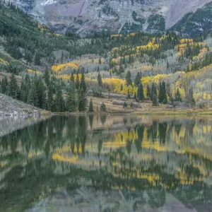 US, CO, White River NF, Autumn Color Reflected in Maroon Lake US, CO, White River NF, Autumn Color Reflected in Maroon Lake