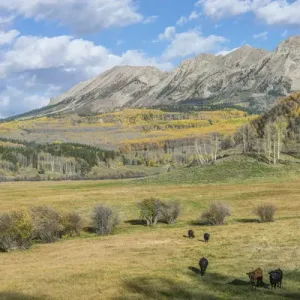 US, Colorado, near Gunnison, Rocky Mountain Autumn Ranch US, Colorado, near Gunnison, Rocky Mountain Autumn Ranch