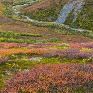 USA, Alaska Brooks Range Tundra Landscape Print USA, Alaska Brooks Range Tundra Landscape Print