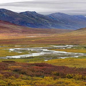 USA, Alaska, Brooks Range. Tundra in fall color