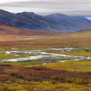 Alaska Brooks Range Tundra Print Alaska Brooks Range Tundra Print