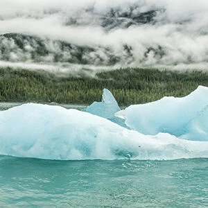 USA, Alaska, Endicott Arm. Close-up of offshore icebergs