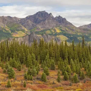 USA, Alaska. Fall colors near Denali National Park USA, Alaska. Fall colors near Denali National Park