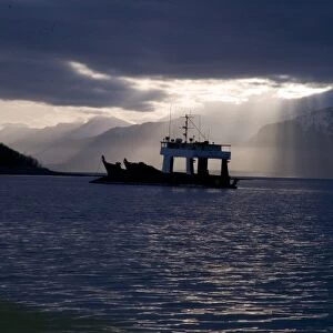 USA, Alaska, Icy Bay. Fishing boat returning home in evening light