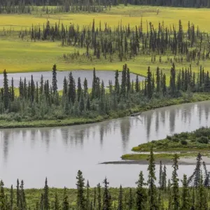 USA, Alaska, Nenana River Valley Print USA, Alaska, Nenana River Valley Print