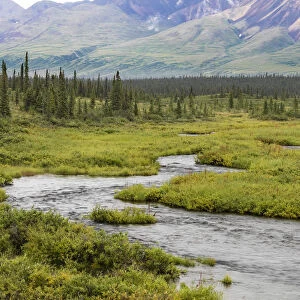USA, Alaska, Nenana River Valley. Landscape with Seattle Creek