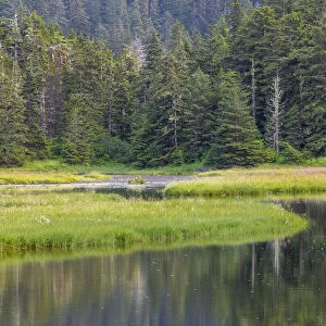 USA, Alaska. Panoramic of meadow at high tide in Tongass National Forest