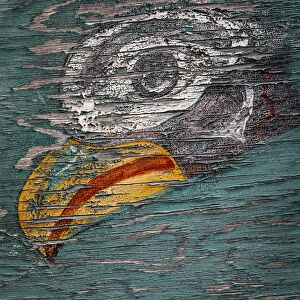 USA, Alaska, Pelican. Weathered painting of bird head. Credit as