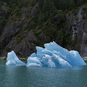 Usa, Alaska. This perfect iceberg floats in the blue waters of Endicott Arm near a steep glacially carved cliff