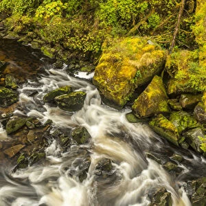 USA, Alaska, Tongass National Forest. Anan Creek scenic