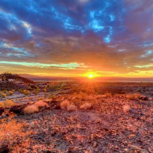 Prints of USA Prints: Arizona